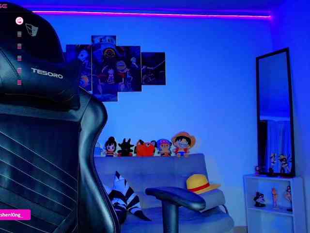 Nicorobin webcam