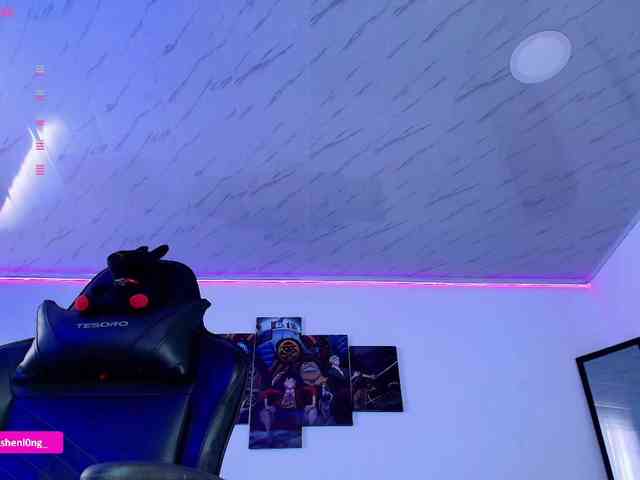 Nicorobin webcam