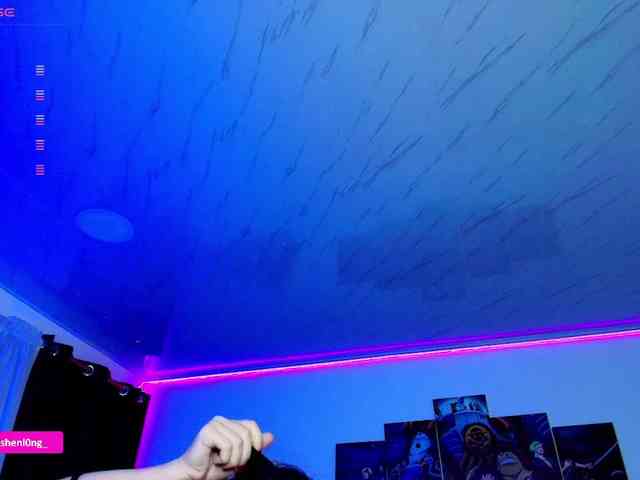 Nicorobin webcam
