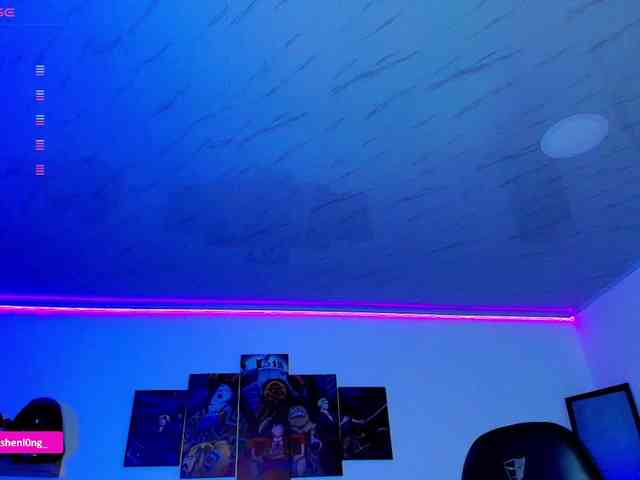 Nicorobin webcam