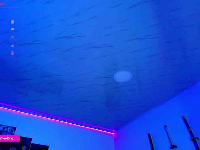 Nicorobin webcam