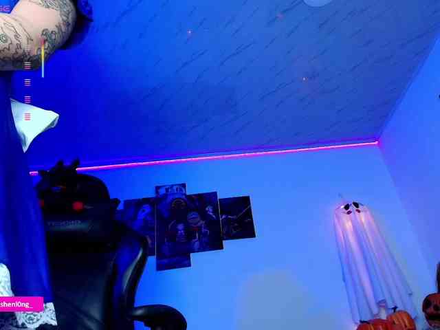 Nicorobin webcam
