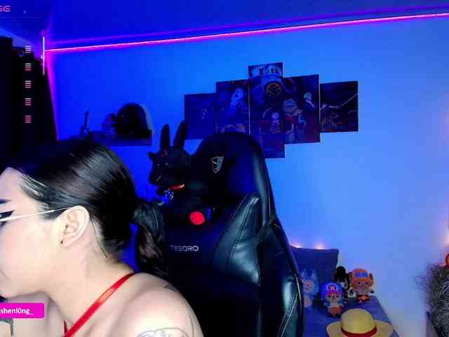 Nicorobin webcam