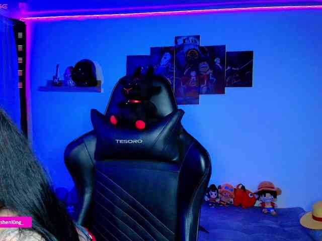 Nicorobin webcam