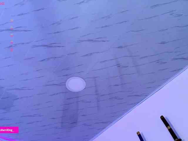 Nicorobin webcam
