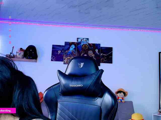 Nicorobin webcam