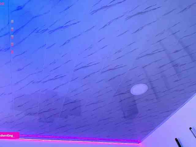 Nicorobin webcam
