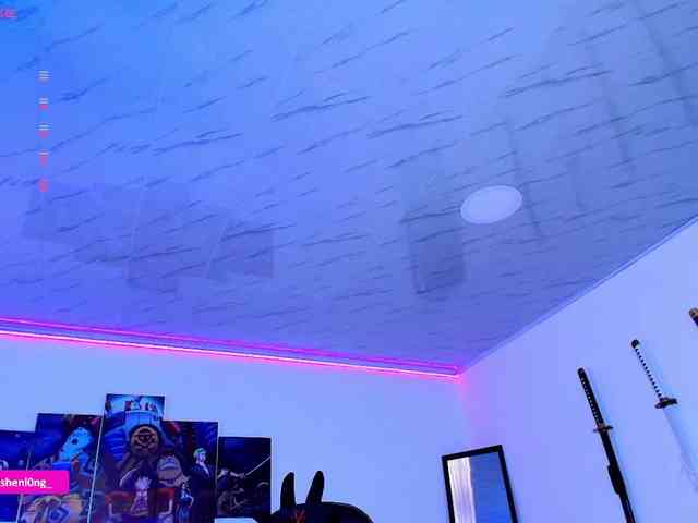 Nicorobin webcam