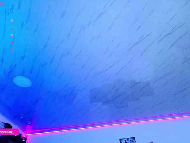 Nicorobin webcam