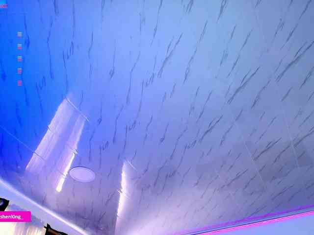 Nicorobin webcam