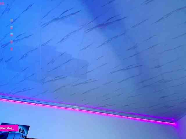 Nicorobin webcam