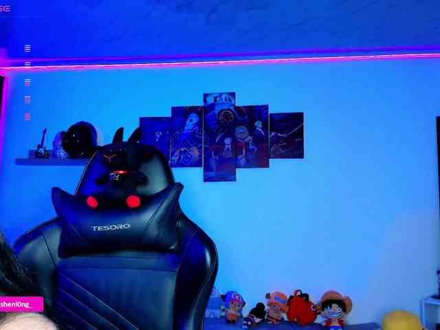 Nicorobin webcam