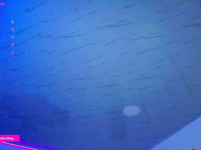 Nicorobin webcam