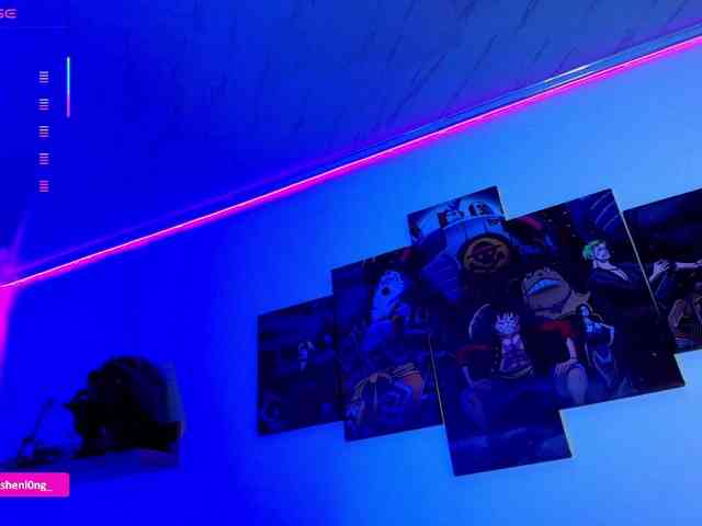Nicorobin webcam