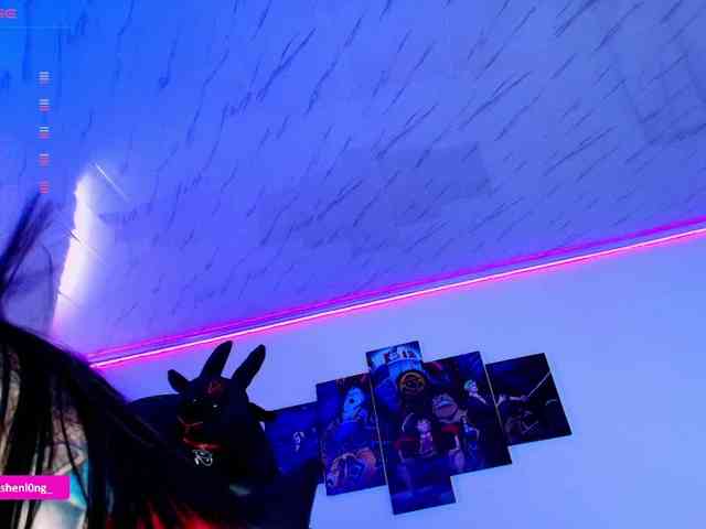 Nicorobin webcam