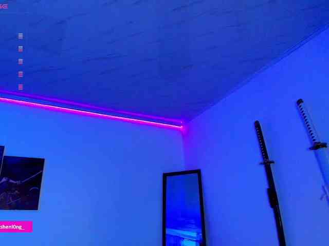 Nicorobin webcam