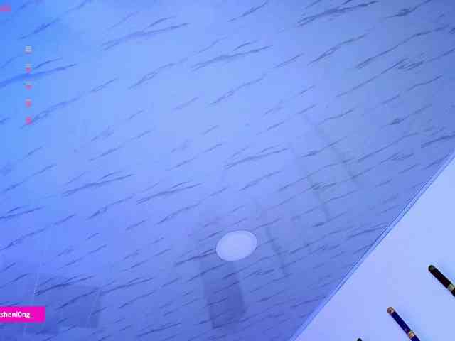 Nicorobin webcam