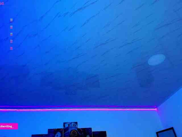 Nicorobin webcam