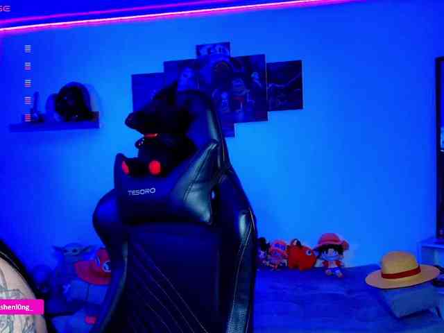 Nicorobin webcam