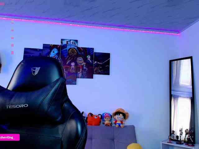Nicorobin webcam