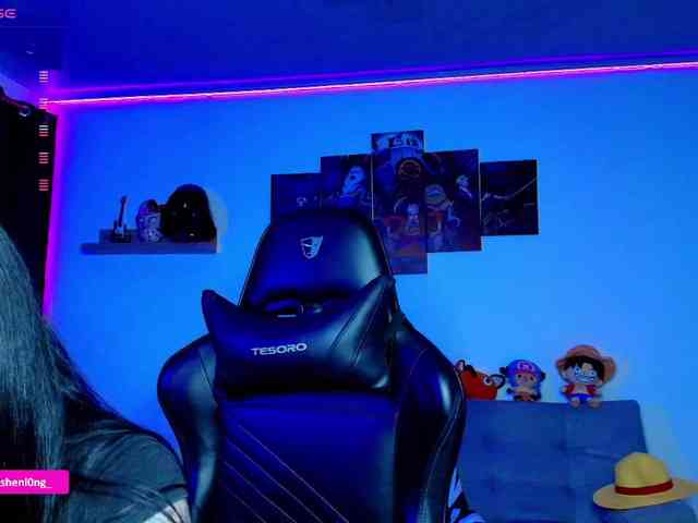 Nicorobin webcam