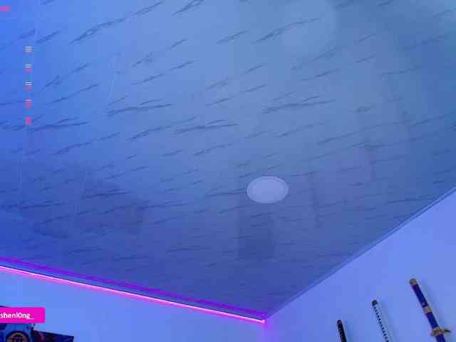 Nicorobin webcam