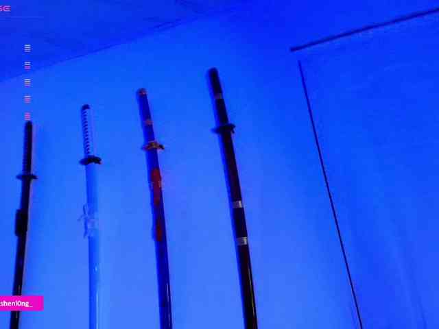 Nicorobin webcam