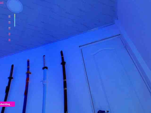 Nicorobin webcam