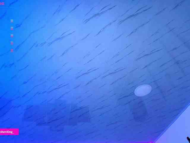 Nicorobin webcam