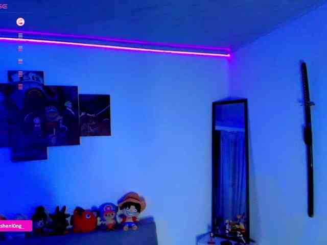 Nicorobin webcam