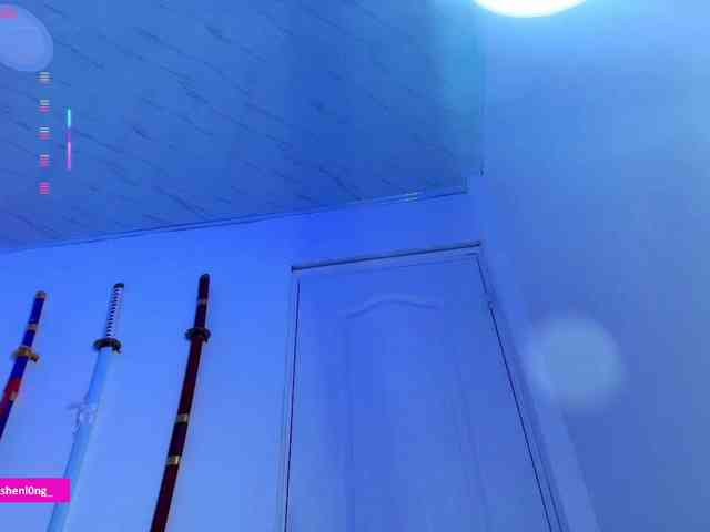 Nicorobin webcam
