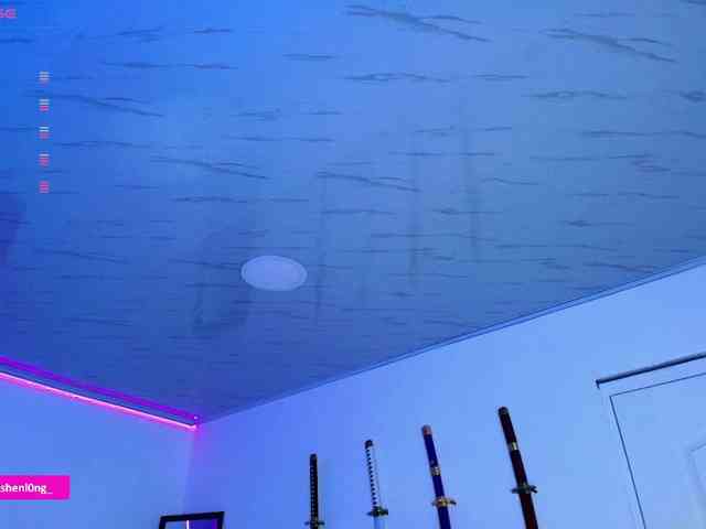 Nicorobin webcam