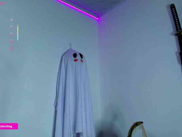 Nicorobin webcam