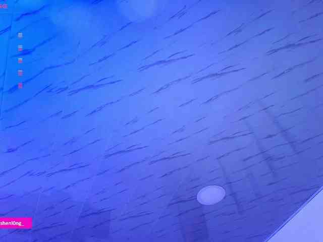 Nicorobin webcam