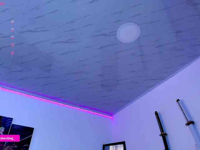 Nicorobin webcam