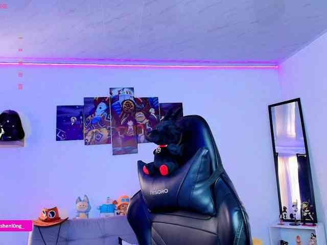 Nicorobin webcam