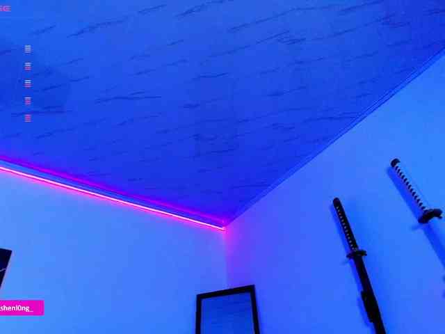 Nicorobin webcam