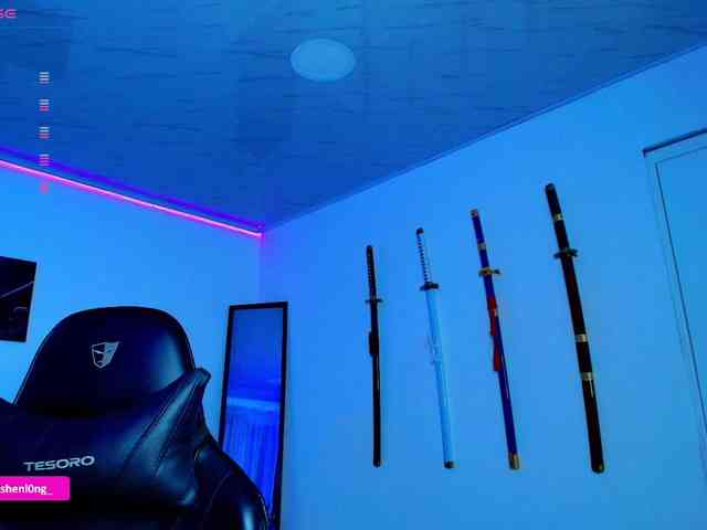 Nicorobin webcam