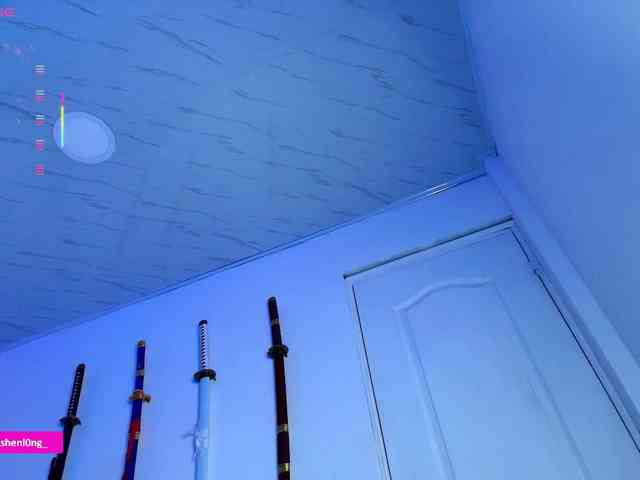 Nicorobin webcam