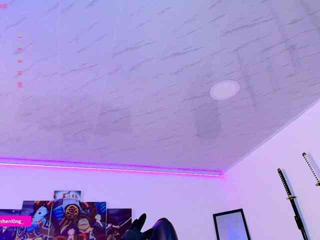 Nicorobin webcam