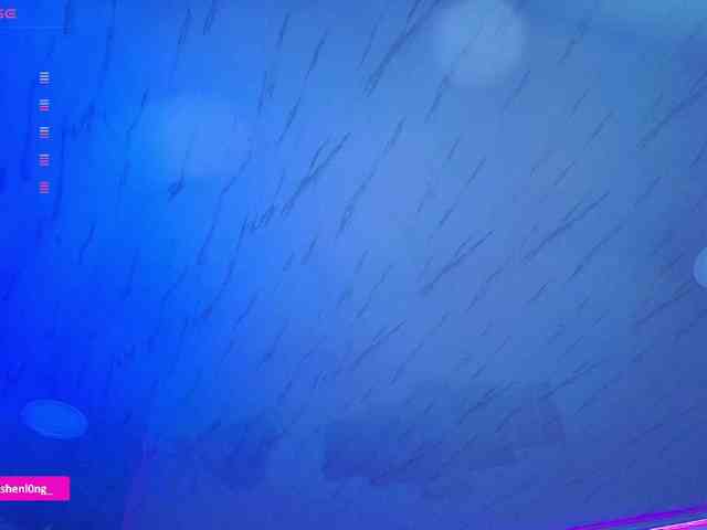 Nicorobin webcam