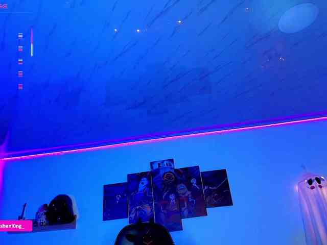 Nicorobin webcam