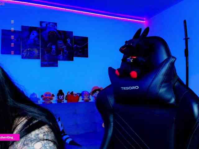 Nicorobin webcam