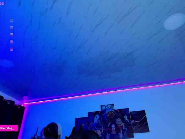 Nicorobin webcam