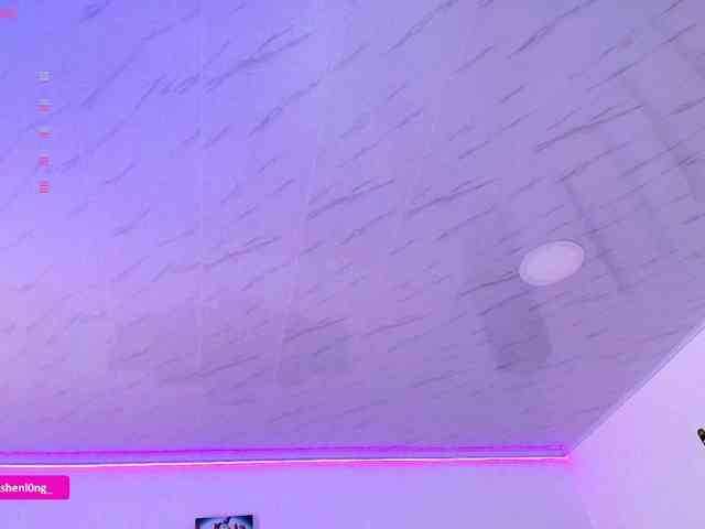 Nicorobin webcam