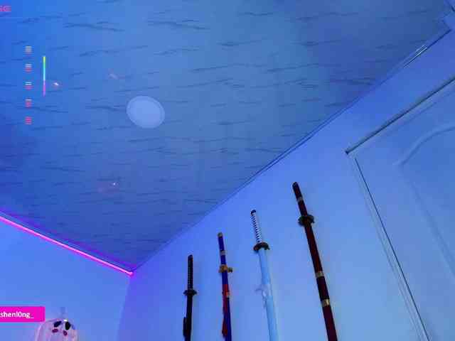 Nicorobin webcam
