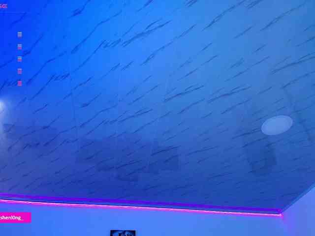 Nicorobin webcam