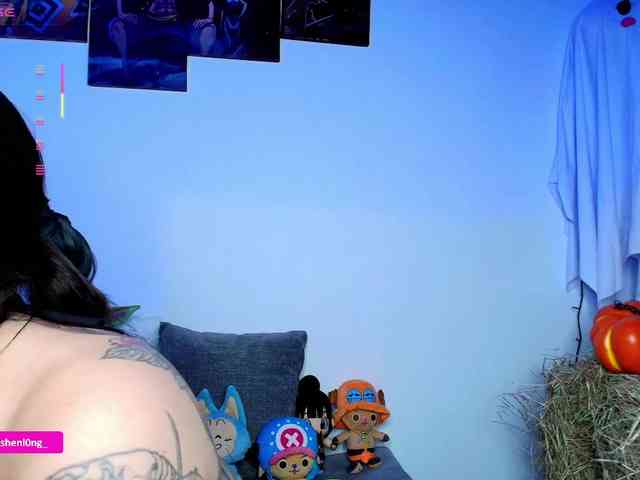 Nicorobin webcam