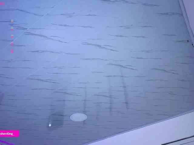 Nicorobin webcam