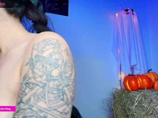 Nicorobin webcam